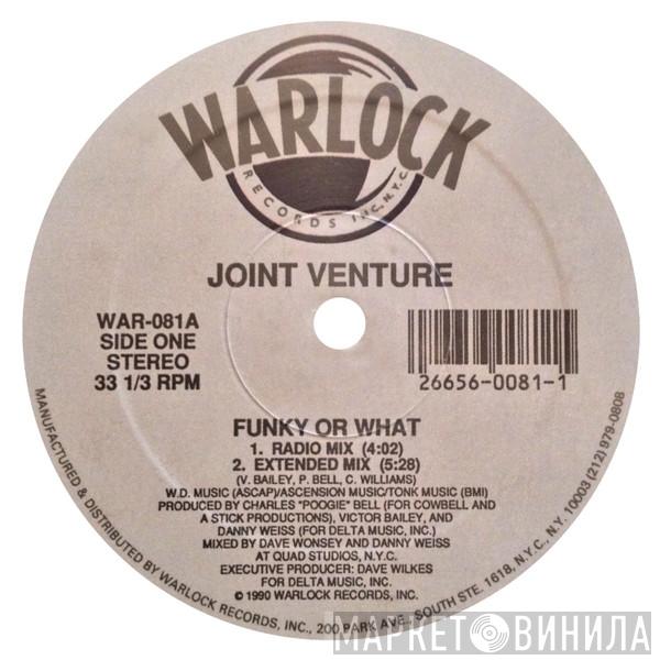 Joint Venture  - Funky Or What