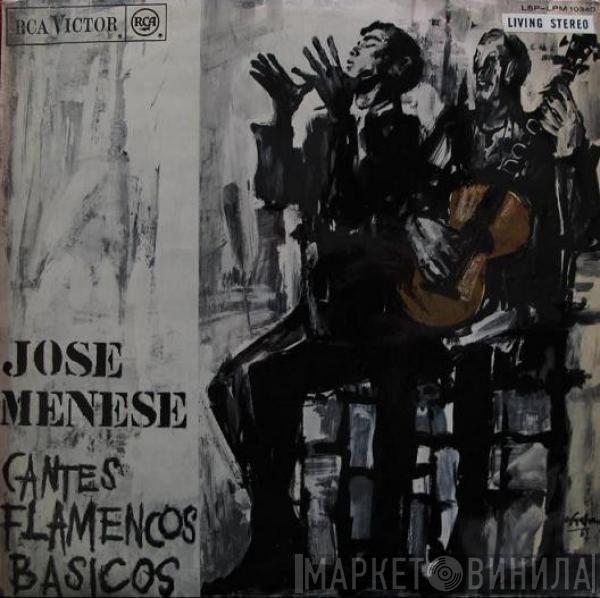 José Menese - Cantes Flamencos Basicos