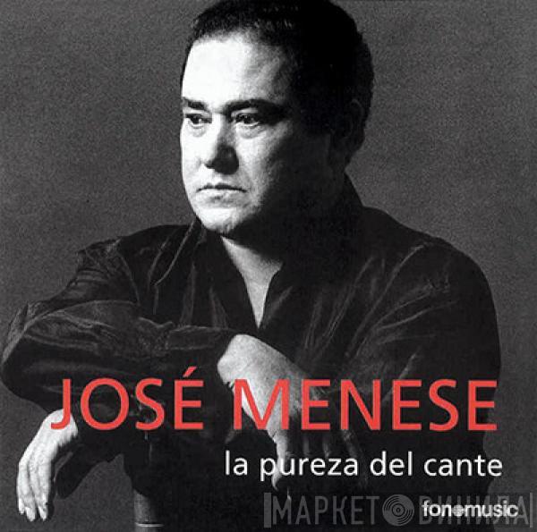 José Menese - La Pureza Del Cante