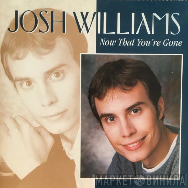 Josh Williams  - Now That You're Gone