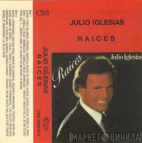  Julio Iglesias  - Raices