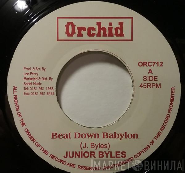  Junior Byles  - Beat Down Babylon