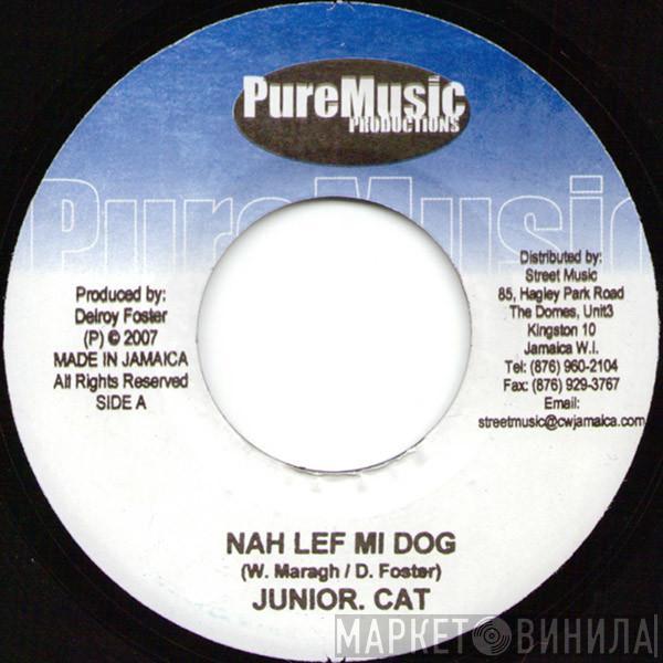 Junior Cat, Chino  - Nah Lef Mi Dog / Colder Than Ice