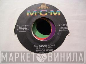 Junior Lewis  - All About Love / Why Take It Out On Me