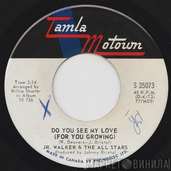 Junior Walker & The All Stars - Do You See My Love (For You Growing) / Groove And Move