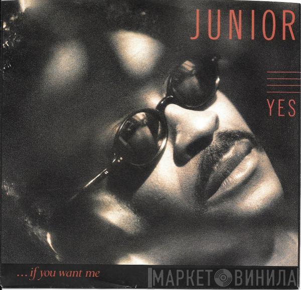 Junior  - Yes... (If You Want Me)