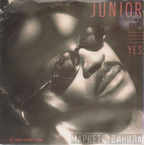 Junior  - Yes... (If You Want Me)