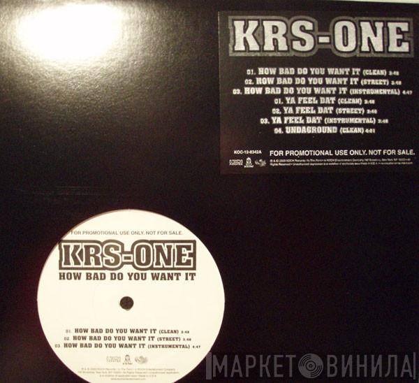 KRS-One - How Bad Do You Want It
