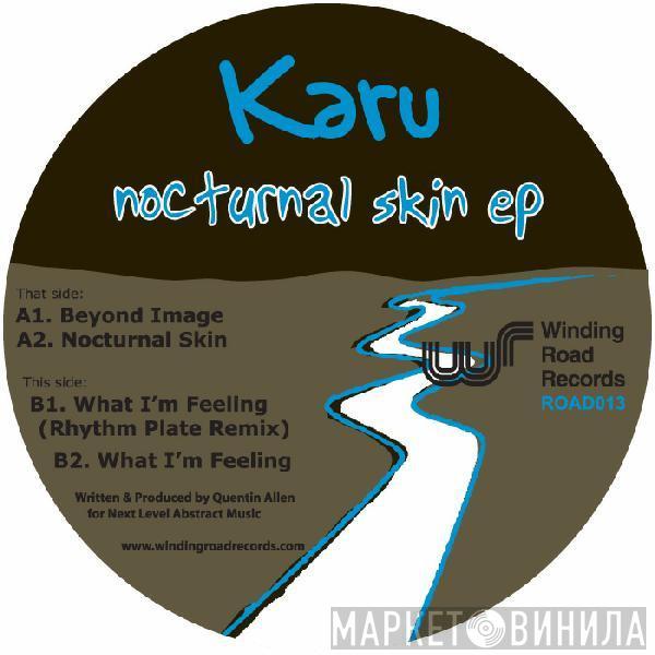 Karu - Nocturnal Skin EP