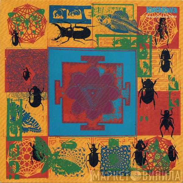 Kava Kava - You Can Live Here