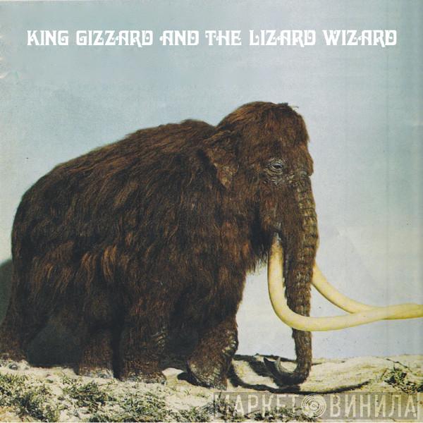  King Gizzard And The Lizard Wizard  - Polygondwanaland