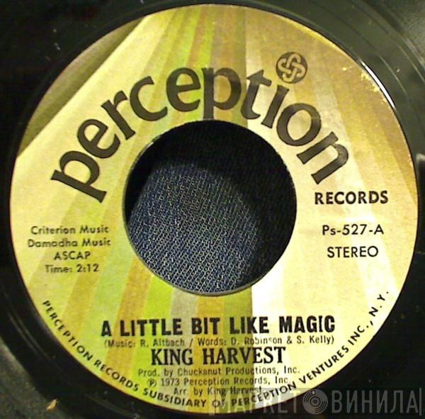 King Harvest - A Little Bit Like Magic