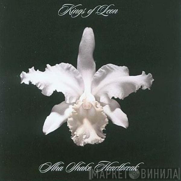 Kings Of Leon - Aha Shake Heartbreak