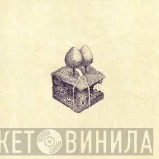 Kiran Leonard - Western Culture