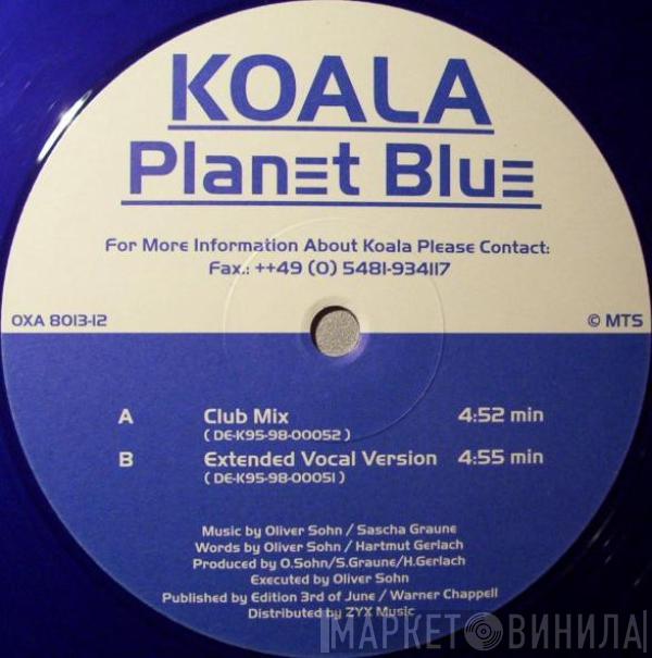 Koala - Planet Blue