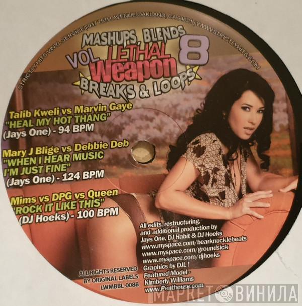  - Lethal Weapon Vol. 8 Mashups, Blends, Breaks & Loops