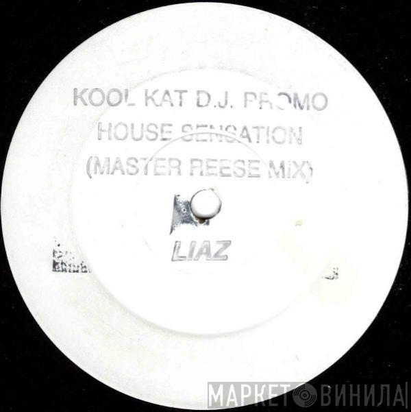  Liaz  - House Sensation (Master Reese Mix)