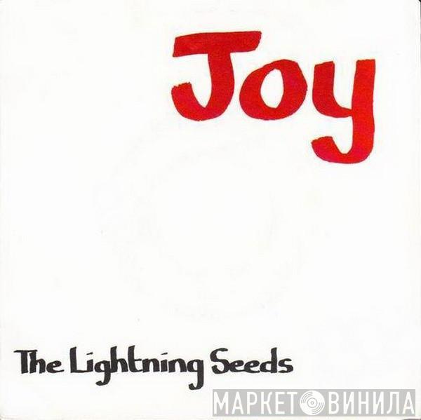  Lightning Seeds  - Joy