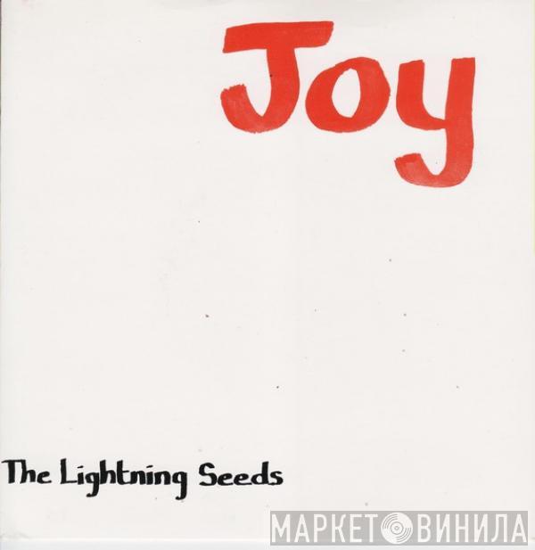 Lightning Seeds - Joy