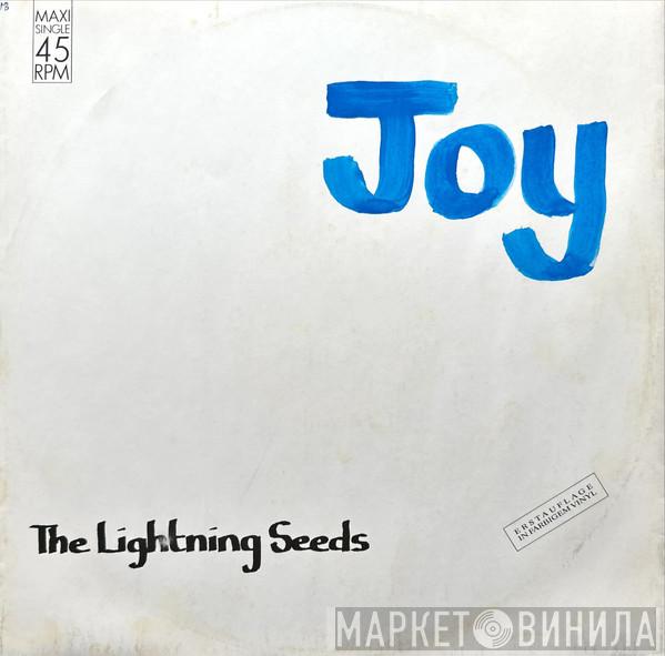  Lightning Seeds  - Joy