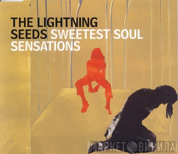  Lightning Seeds  - Sweetest Soul Sensations