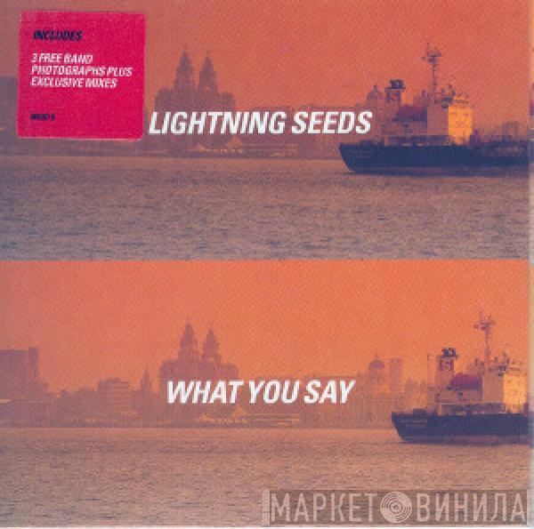 Lightning Seeds - What You Say