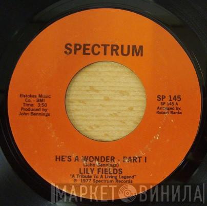 Lily Fields - He's A Wonder