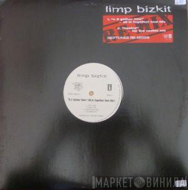 Limp Bizkit - N 2 Gether Now / Nookie (Neptune Remixes)