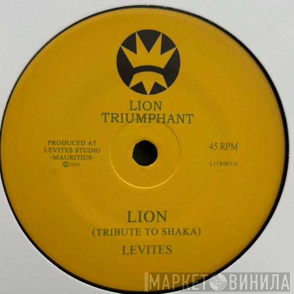  - Lion (Tribute to Shaka)