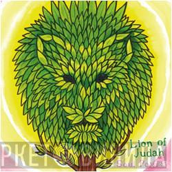 Lion Of Judah  - Soul Power