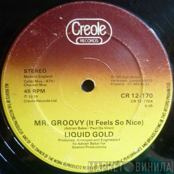 Liquid Gold - Mr. Groovy (It Feels So Nice)