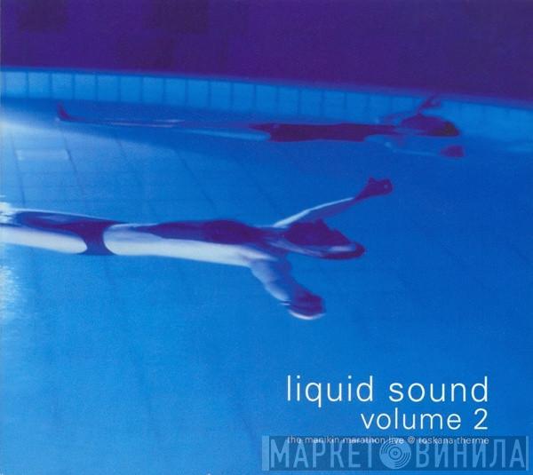  - Liquid Sound Volume 2