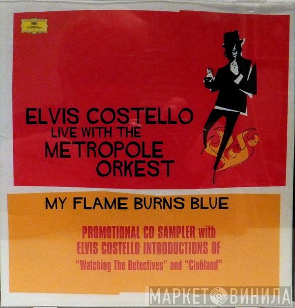 Live With The Elvis Costello  Metropole Orchestra  - My Flame Burns Blue