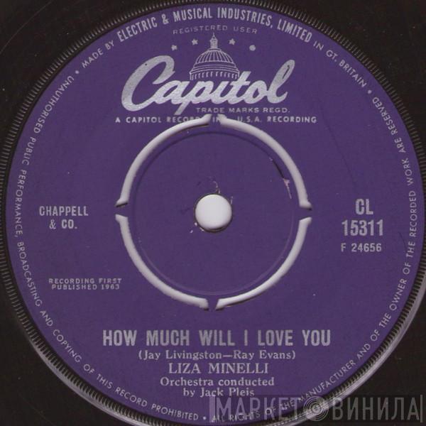 Liza Minnelli - How Much Will I Love You