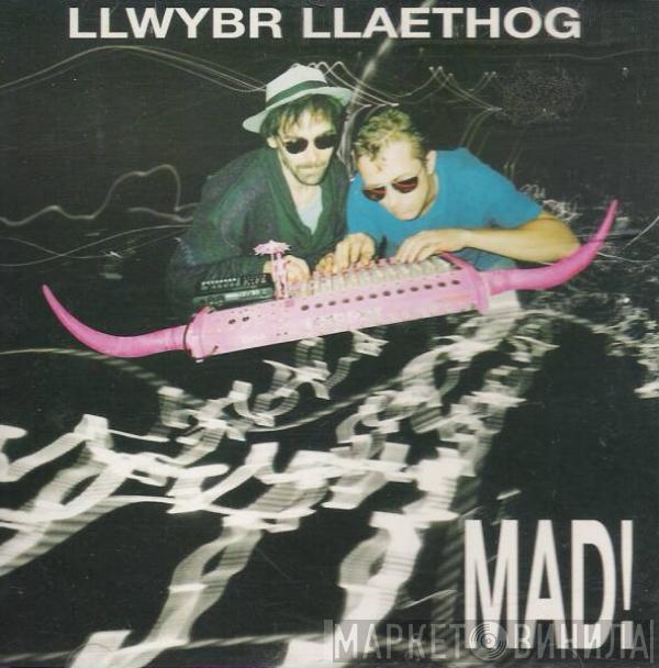  Llwybr Llaethog  - Mad!