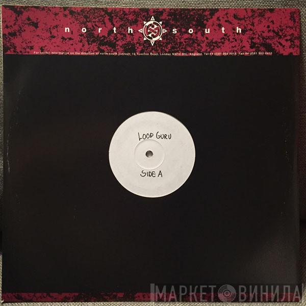 Loop Guru - Possible Futures - Fourplay