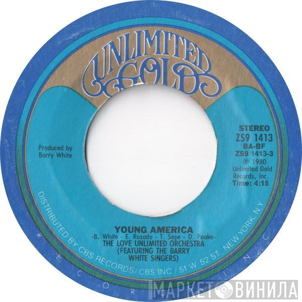 Love Unlimited Orchestra, The Barry White Singers - Young America / Freeway Flyer