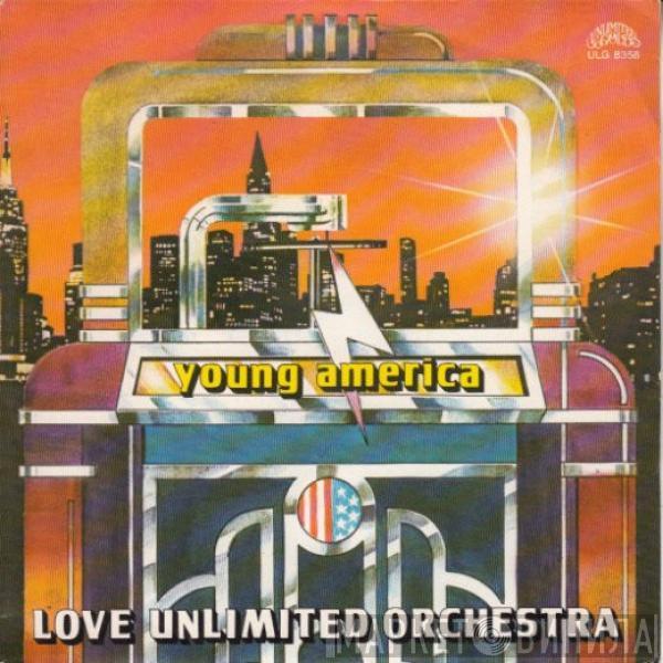 Love Unlimited Orchestra - Young America