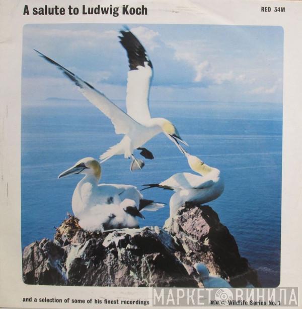 Ludwig Koch - A Salute To Ludwig Koch