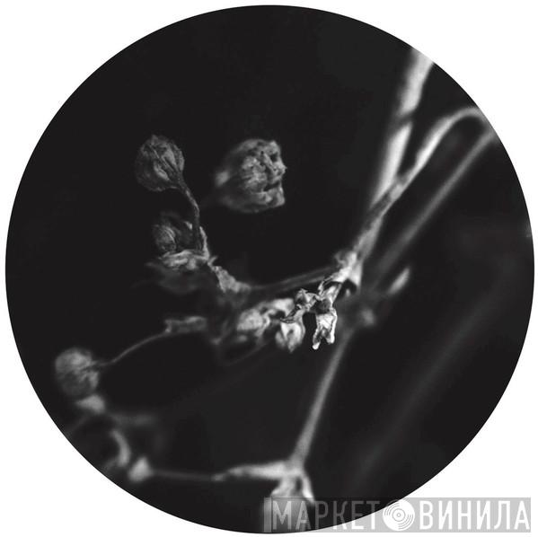 Luigi Madonna - The Colours Of The Day EP