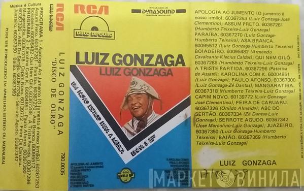  Luiz Gonzaga  - Um Novo Espaço Para A Música