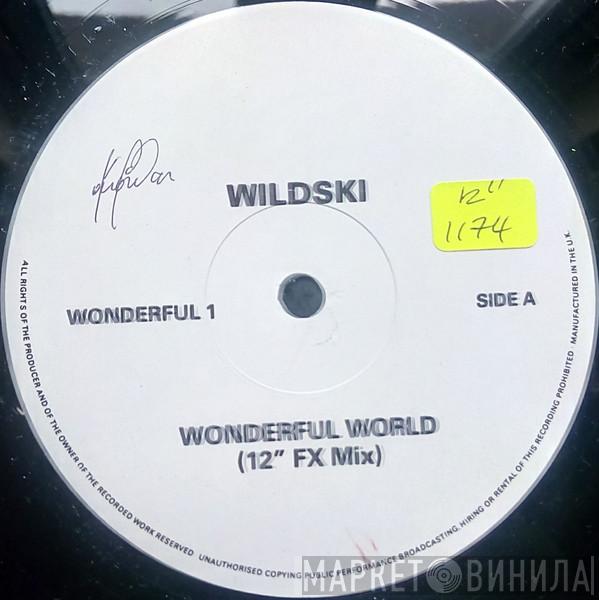 MC Wildski - Wonderful World