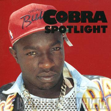  Mad Cobra  - Spotlight