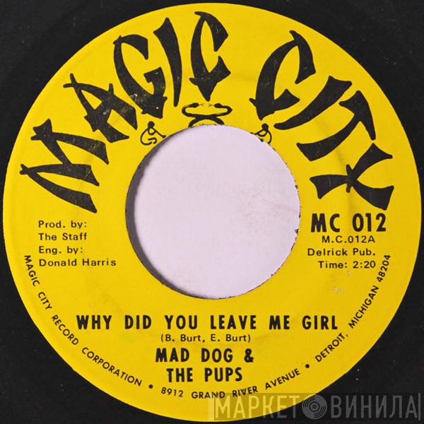 Mad Dog & The Pups, The Soulful Hounds - Why Did You Leave Me Girl