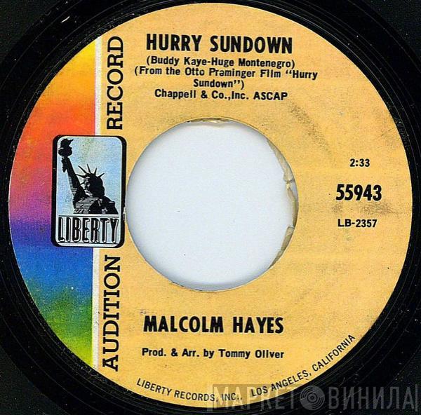 Malcolm Hayes - Hurry Sundown / It's Not Easy