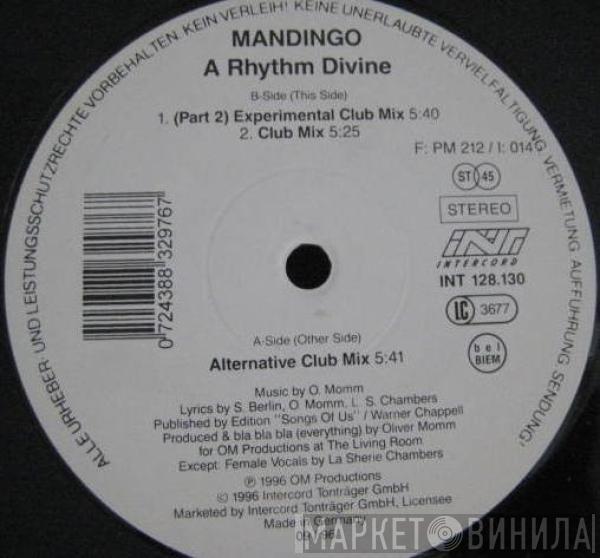 Mandingo  - A Rhythm Divine