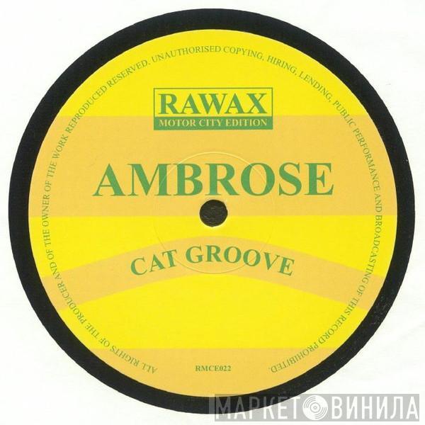 Mark Ambrose - Cat Groove