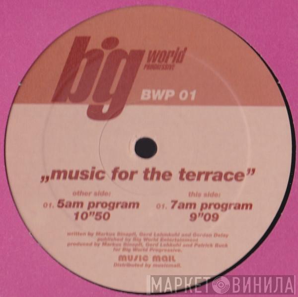 Markus Binapfl - Music For The Terrace