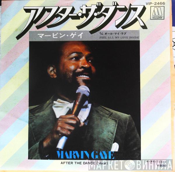  Marvin Gaye  - After The Dance