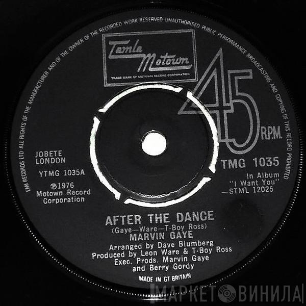  Marvin Gaye  - After The Dance